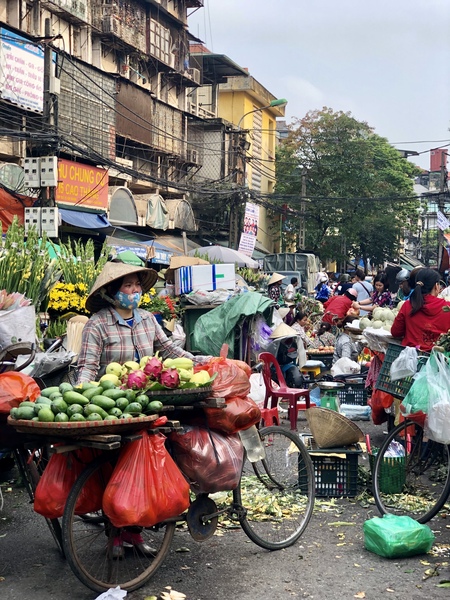 Vaccines for Travel to Southeast&nbsp;Asia