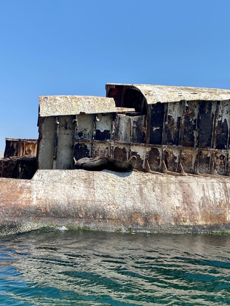 Richter Publishing Writing Retreats