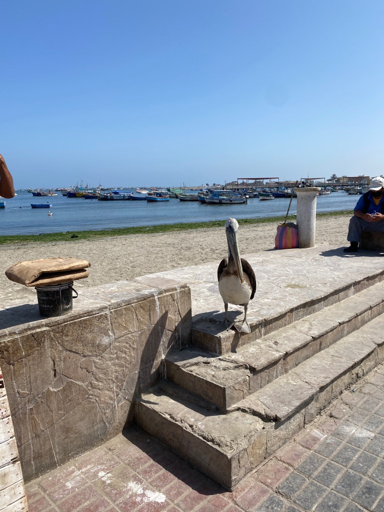 Richter Publishing Writing Retreats