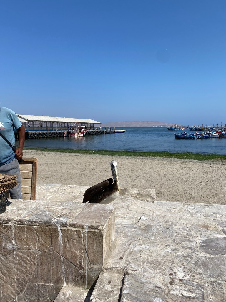 Richter Publishing Writing Retreats