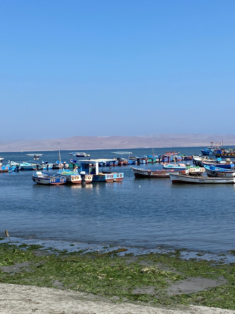 Richter Publishing Writing Retreats