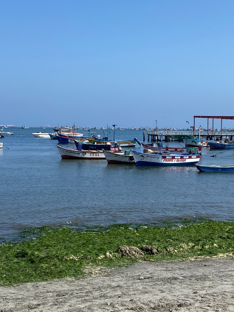 Richter Publishing Writing Retreats