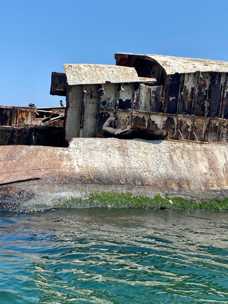 Richter Publishing Writing Retreats