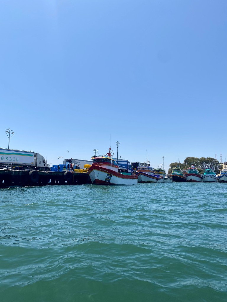 Richter Publishing Writing Retreats