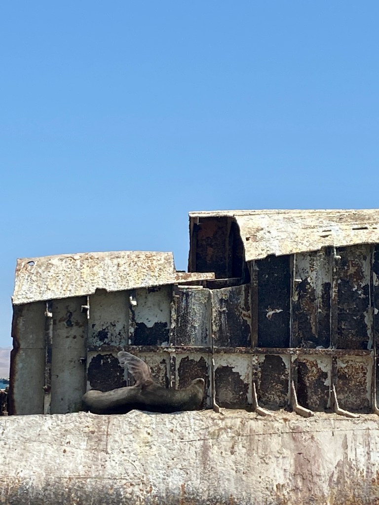 Richter Publishing Writing Retreats