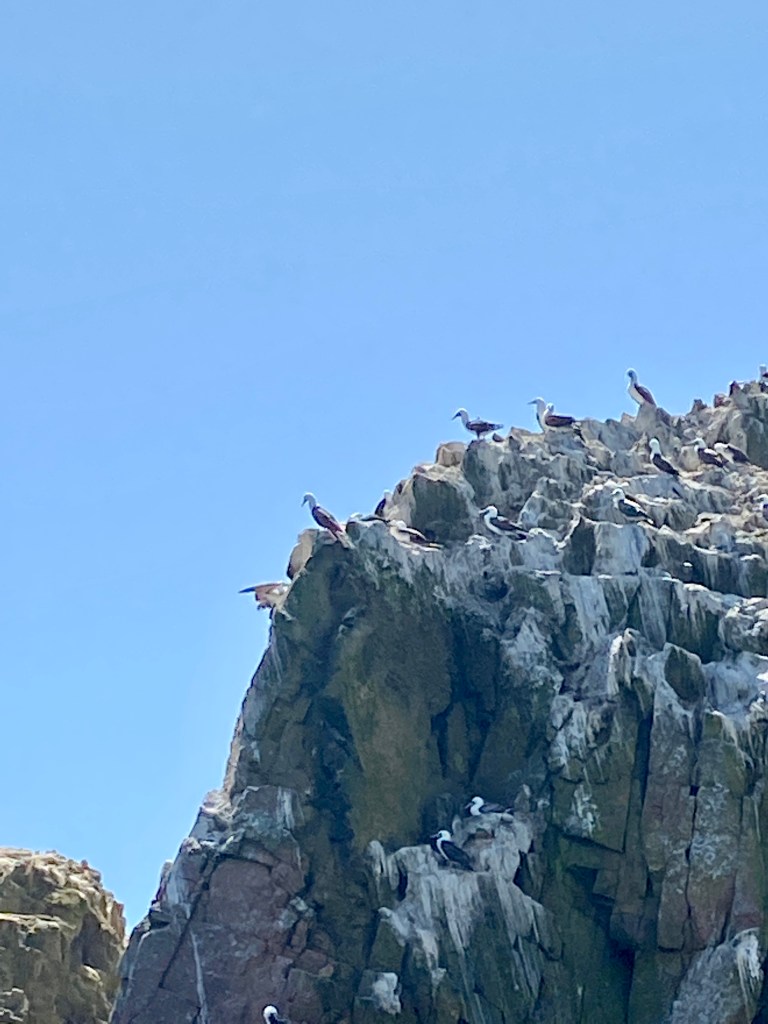 White Islands in Paracas Peru