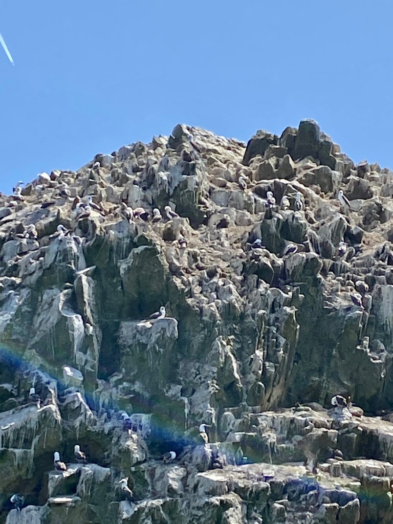 Richter Publishing Writing Retreats