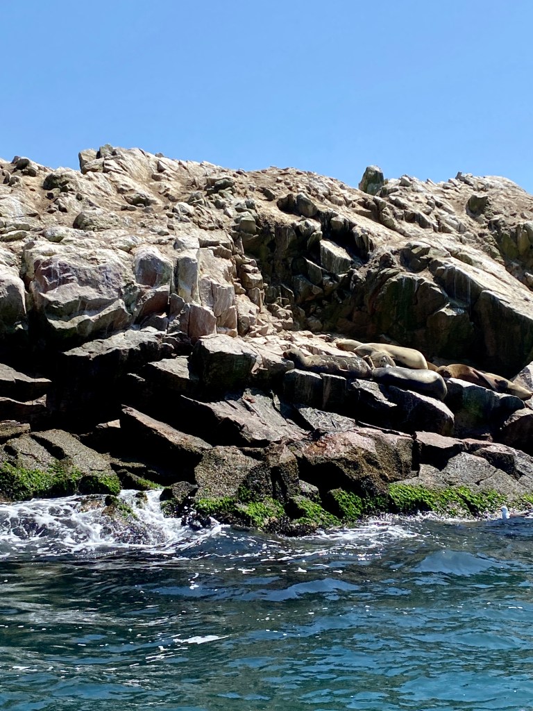 Richter Publishing Writing Retreats