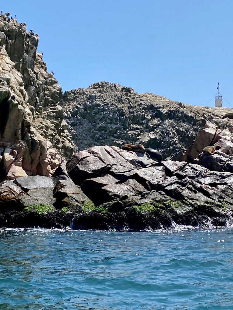 Richter Publishing Writing Retreats