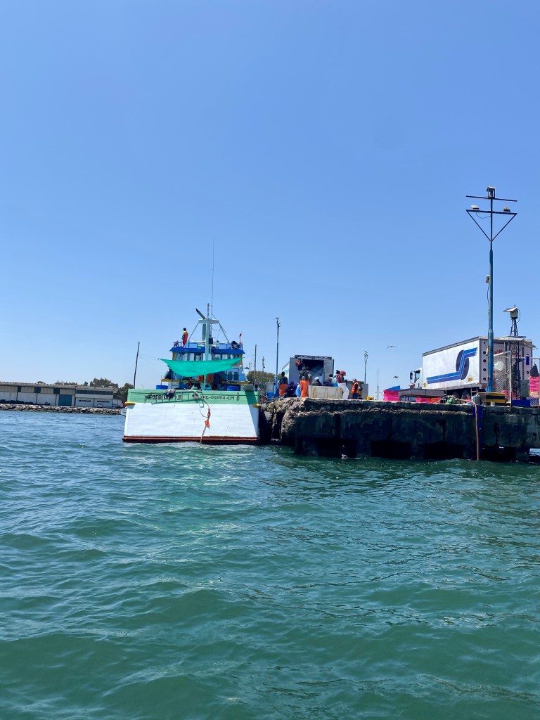 Richter Publishing Writing Retreats